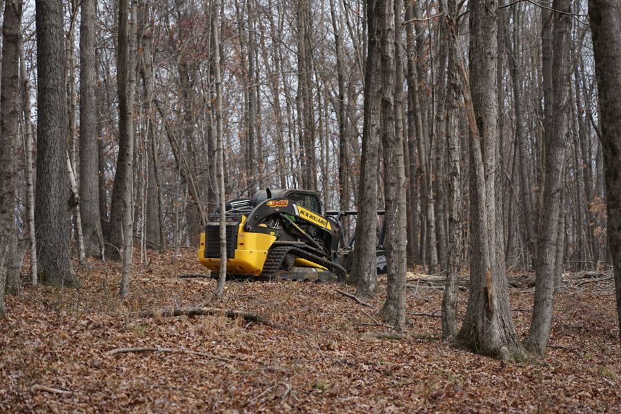Forestry mulching equipment clearing overgrown land