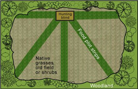 Open field prepared for deer food plots and land improvement