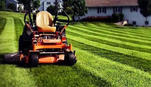 Freshly mowed lawn and clean landscape edges